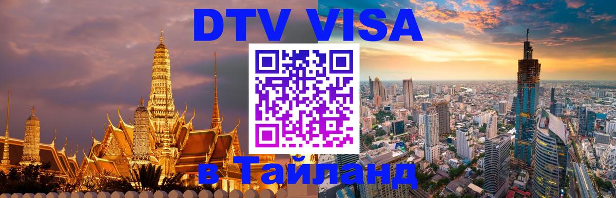 Оформление DTV визы под ключ: стоимость и тарифы, только загранпаспорт - Энгельс  20.11.2025 